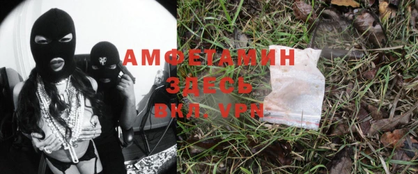 шишки Аркадак