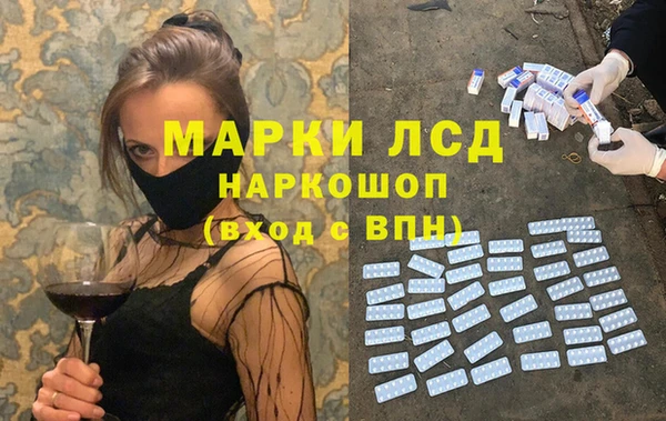 шишки Аркадак