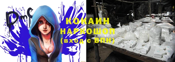 шишки Аркадак