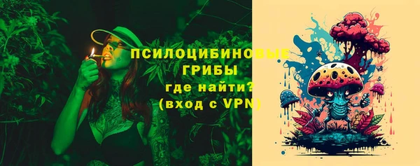 шишки Аркадак