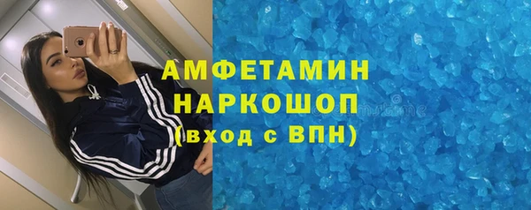 шишки Аркадак