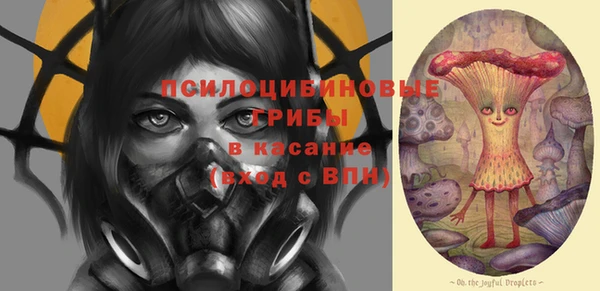 гидра Семилуки